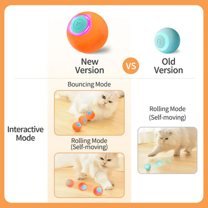 Smart Pet Toy