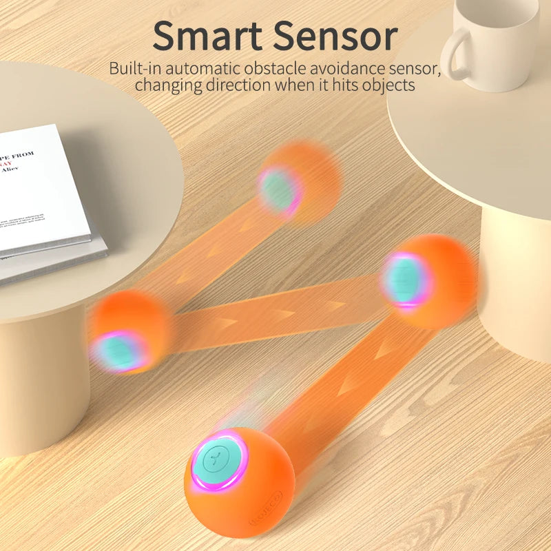 Smart Pet Toy